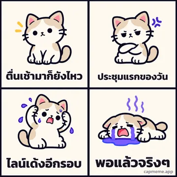 มีมสี่ช่อง แมวเสียอาการทีละขั้นจากปกติ เป็นหงุดหงิด เครียด แล้วร้องไห้ พร้อมข้อความว่า ตื่นเช้ามาก็ยังไหว ประชุมแรกของวัน ไลน์เด้งอีกรอบ พอแล้วจริงๆ