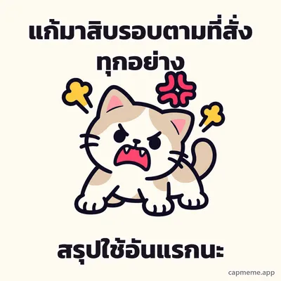 แมวยืนขู่อ้าปากโกรธ มีสัญลักษณ์โมโหลอยข้างหัว พร้อมข้อความว่า แก้มาสิบรอบตามที่สั่งทุกอย่าง สรุปใช้อันแรกนะ