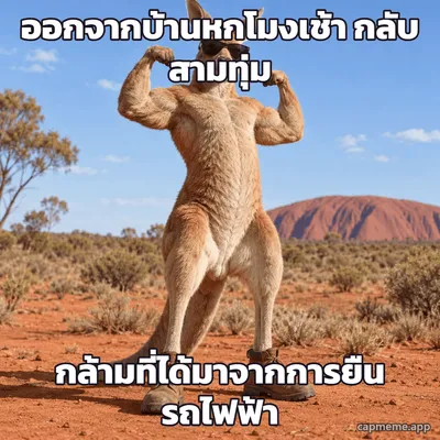 ภาพจิงโจ้ใส่แว่นกันแดดกับรองเท้าบูท ยืนเบ่งกล้ามสองข้างกลางทะเลทราย พร้อมข้อความว่า ออกจากบ้านหกโมงเช้า กลับสามทุ่ม กล้ามที่ได้มาจากการยืนรถไฟฟ้า