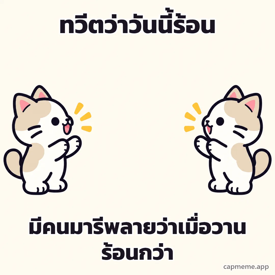 แมวสองตัวหันหน้าเข้าหากันคนละฝั่ง พร้อมข้อความว่า ทวีตว่าวันนี้ร้อน มีคนมารีพลายว่าเมื่อวานร้อนกว่า