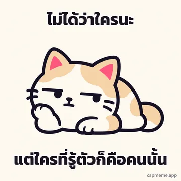 แมวหมอบทำหน้าเบื่อ ตาหรี่ ปากเบ้ พร้อมข้อความว่า ไม่ได้ว่าใครนะ แต่ใครที่รู้ตัวก็คือคนนั้น