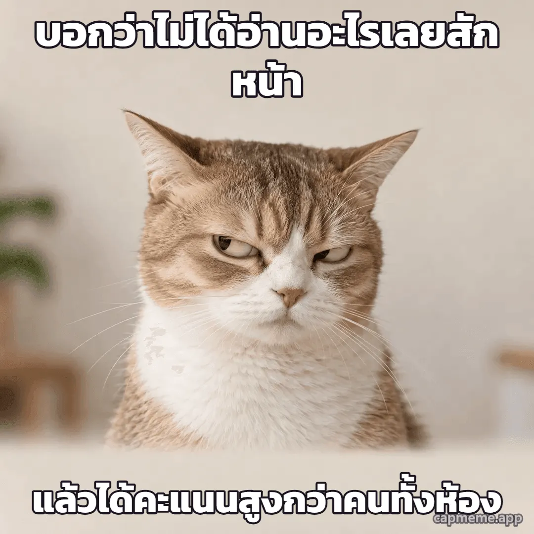 ภาพถ่ายแมวลายส้มขาวหรี่ตามองเฉียง ทำหน้าไม่ประทับใจ พร้อมข้อความว่า บอกว่าไม่ได้อ่านอะไรเลยสักหน้า แล้วได้คะแนนสูงกว่าคนทั้งห้อง