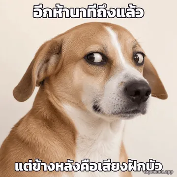 ภาพถ่ายหมาสีน้ำตาลขาวชำเลืองมองด้วยหางตา ทำหน้าไม่เชื่อ พร้อมข้อความว่า อีกห้านาทีถึงแล้ว แต่ข้างหลังคือเสียงฝักบัว