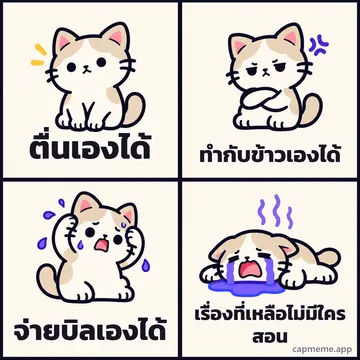 มีมสี่ช่อง แมวเสียอาการทีละขั้นจากปกติ เป็นหงุดหงิด เครียด แล้วร้องไห้ พร้อมข้อความว่า ตื่นเองได้ ทำกับข้าวเองได้ จ่ายบิลเองได้ เรื่องที่เหลือไม่มีใครสอน