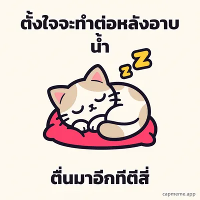 แมวนอนขดหลับบนหมอนสีชมพู มีตัวแซดลอยเหนือหัว พร้อมข้อความว่า ตั้งใจจะทำต่อหลังอาบน้ำ ตื่นมาอีกทีตีสี่
