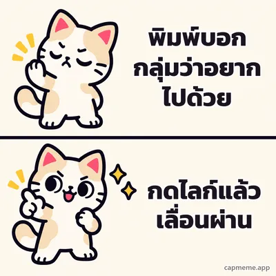 มีมสองช่อง ช่องบนแมวหลับตายกอุ้งเท้าปฏิเสธ ช่องล่างแมวยิ้มชี้นิ้วอย่างพอใจ พร้อมข้อความว่า พิมพ์บอกกลุ่มว่าอยากไปด้วย กดไลก์แล้วเลื่อนผ่าน