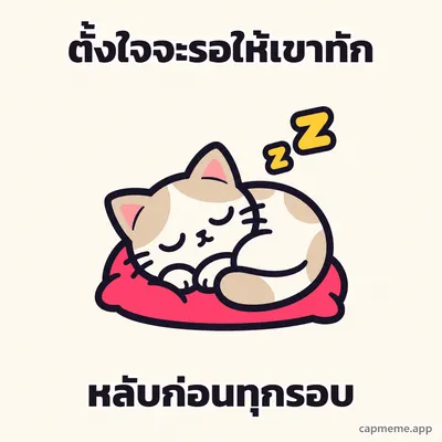 แมวนอนขดหลับบนหมอนสีชมพู มีตัวแซดลอยเหนือหัว พร้อมข้อความว่า ตั้งใจจะรอให้เขาทัก หลับก่อนทุกรอบ