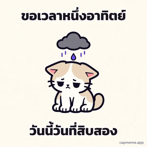 แมวนั่งก้มหน้าอยู่ใต้ก้อนเมฆฝนสีเทา พร้อมข้อความว่า ขอเวลาหนึ่งอาทิตย์ วันนี้วันที่สิบสอง