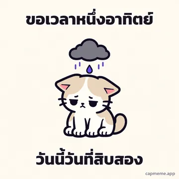 แมวนั่งก้มหน้าอยู่ใต้ก้อนเมฆฝนสีเทา พร้อมข้อความว่า ขอเวลาหนึ่งอาทิตย์ วันนี้วันที่สิบสอง