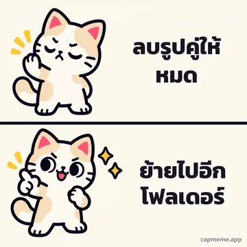มีมสองช่อง ช่องบนแมวหลับตายกอุ้งเท้าปฏิเสธ ช่องล่างแมวยิ้มชี้นิ้วอย่างพอใจ พร้อมข้อความว่า ลบรูปคู่ให้หมด ย้ายไปอีกโฟลเดอร์