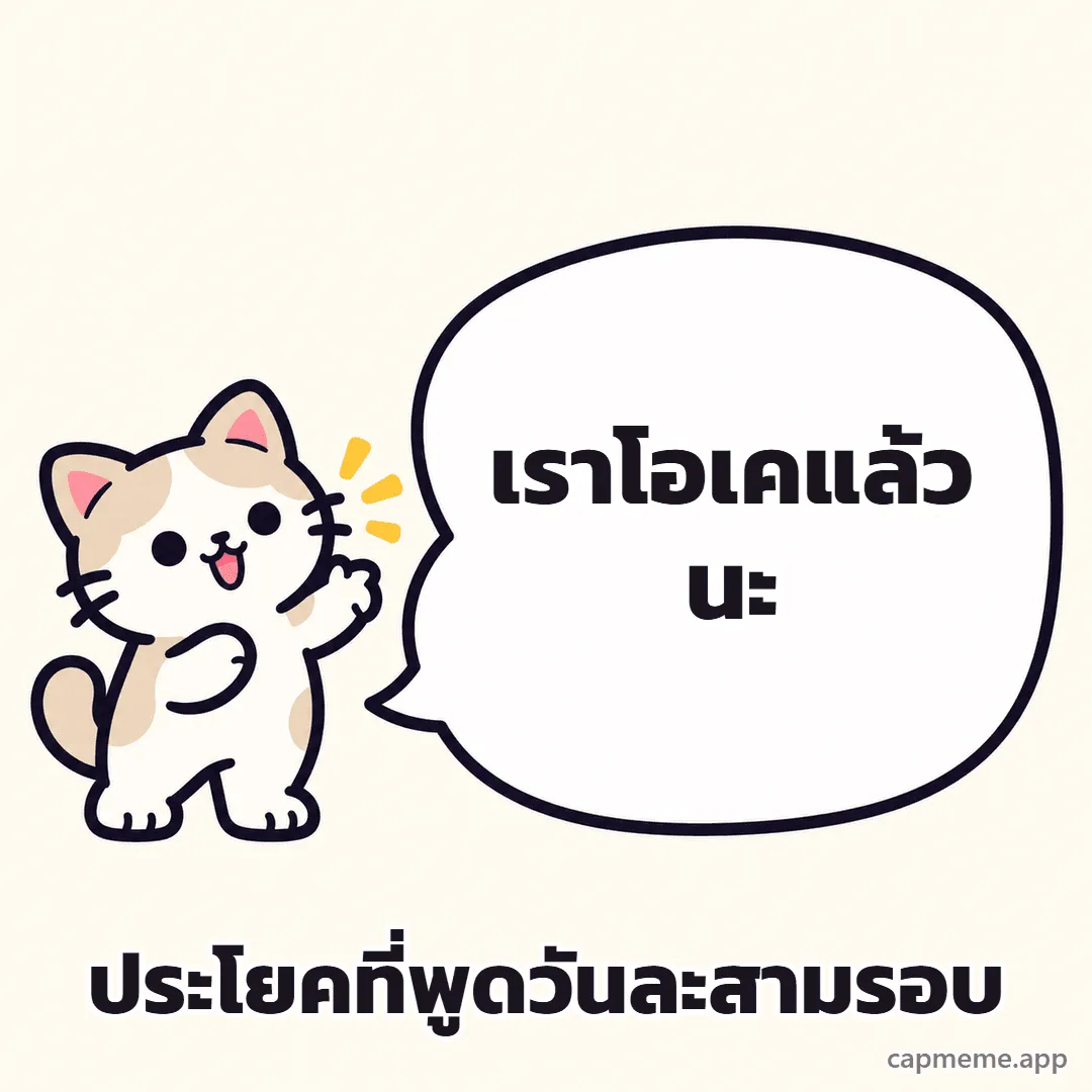 แมวยืนยกอุ้งเท้าข้างบอลลูนคำพูดใบใหญ่ พร้อมข้อความว่า เราโอเคแล้วนะ ประโยคที่พูดวันละสามรอบ