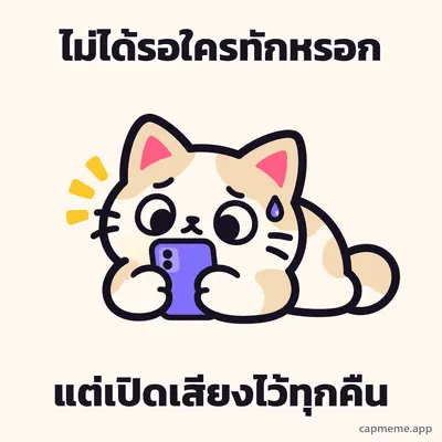 แมวหมอบถือโทรศัพท์ด้วยสองอุ้งเท้า มีหยดเหงื่อข้างหน้า พร้อมข้อความว่า ไม่ได้รอใครทักหรอก แต่เปิดเสียงไว้ทุกคืน