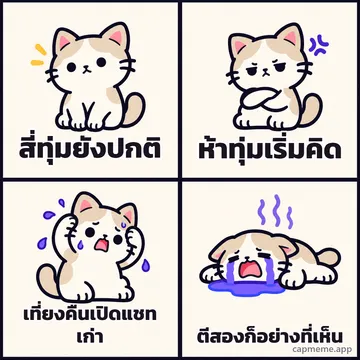 มีมสี่ช่อง แมวเสียอาการทีละขั้นจากปกติ เป็นหงุดหงิด เครียด แล้วร้องไห้ พร้อมข้อความว่า สี่ทุ่มยังปกติ ห้าทุ่มเริ่มคิด เที่ยงคืนเปิดแชทเก่า ตีสองก็อย่างที่เห็น