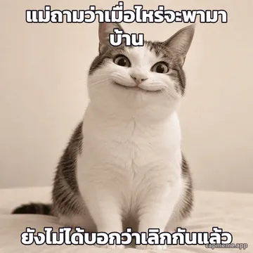 ภาพถ่ายแมวนั่งยิ้มปากกว้างแบบฝืนๆ ตากลมโต พร้อมข้อความว่า แม่ถามว่าเมื่อไหร่จะพามาบ้าน ยังไม่ได้บอกว่าเลิกกันแล้ว