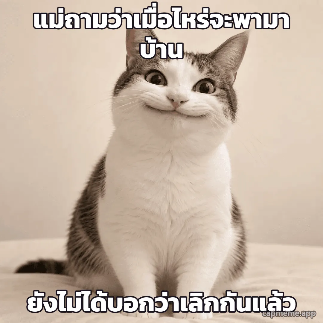ภาพถ่ายแมวนั่งยิ้มปากกว้างแบบฝืนๆ ตากลมโต พร้อมข้อความว่า แม่ถามว่าเมื่อไหร่จะพามาบ้าน ยังไม่ได้บอกว่าเลิกกันแล้ว