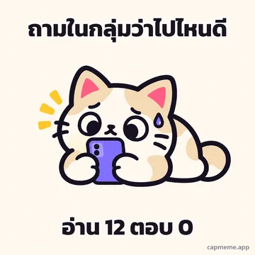 แมวหมอบถือโทรศัพท์ด้วยสองอุ้งเท้า มีหยดเหงื่อข้างหน้า พร้อมข้อความว่า ถามในกลุ่มว่าไปไหนดี อ่าน 12 ตอบ 0