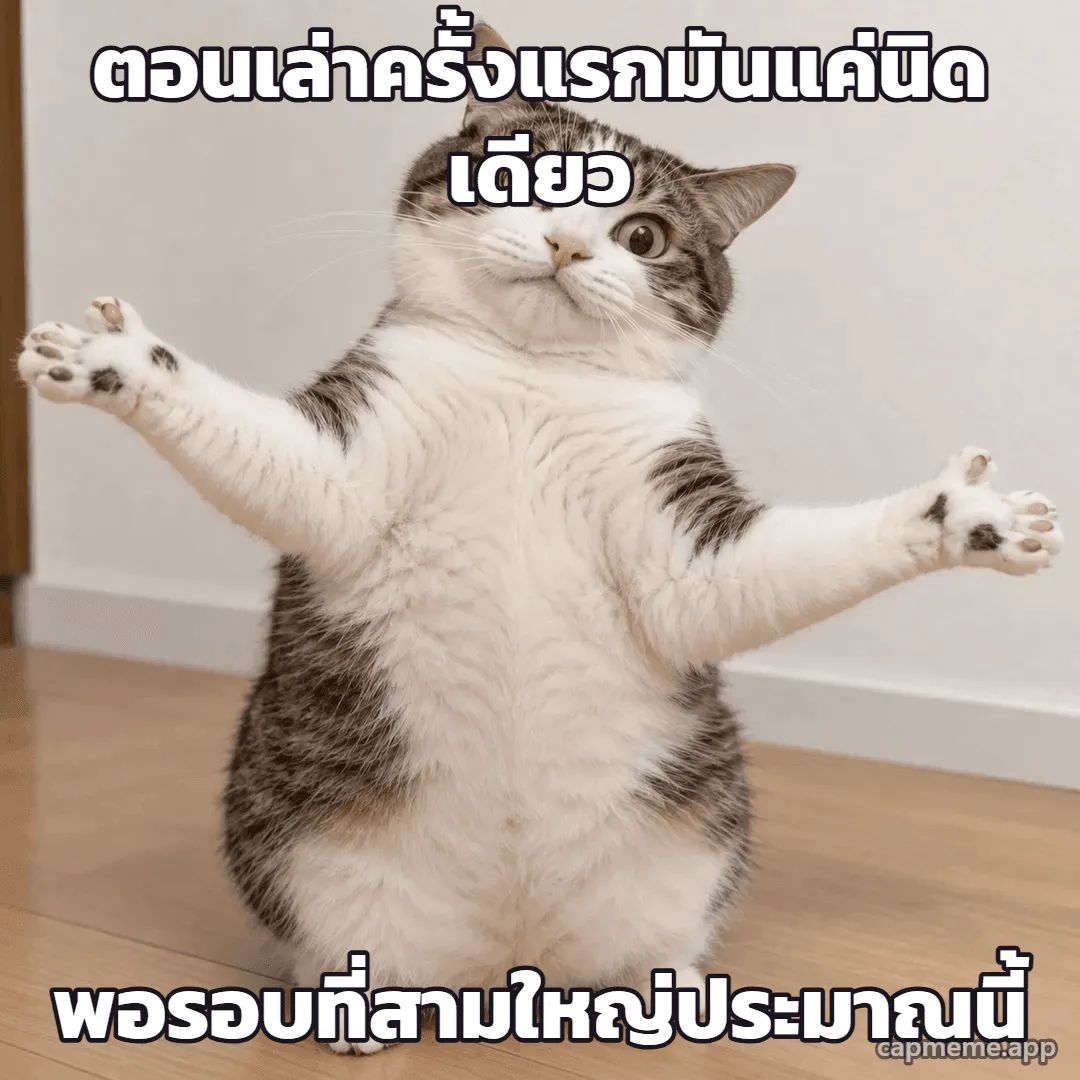 ภาพถ่ายแมวอ้วนยืนสองขา กางอุ้งเท้าหน้าออกกว้างทั้งสองข้าง พร้อมข้อความว่า ตอนเล่าครั้งแรกมันแค่นิดเดียว พอรอบที่สามใหญ่ประมาณนี้