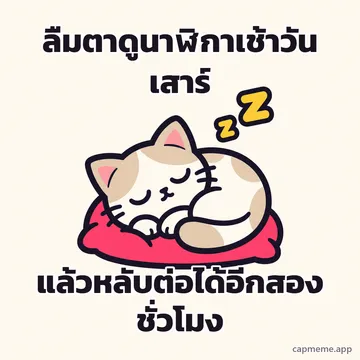 แมวนอนขดหลับบนหมอนสีชมพู มีตัวแซดลอยเหนือหัว พร้อมข้อความว่า ลืมตาดูนาฬิกาเช้าวันเสาร์ แล้วหลับต่อได้อีกสองชั่วโมง