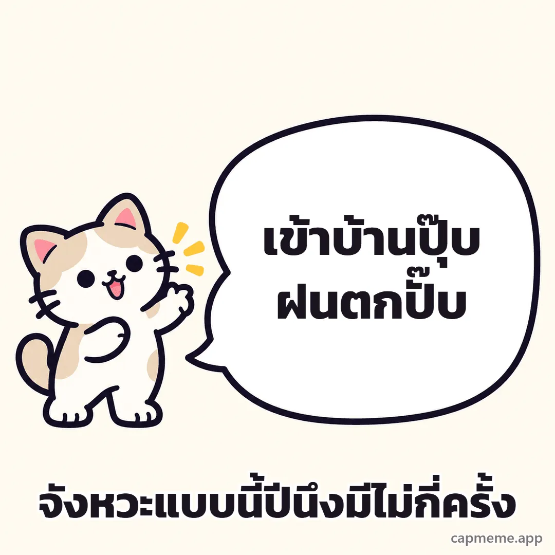 แมวยืนยกอุ้งเท้าข้างบอลลูนคำพูดใบใหญ่ พร้อมข้อความว่า เข้าบ้านปุ๊บฝนตกปั๊บ จังหวะแบบนี้ปีนึงมีไม่กี่ครั้ง
