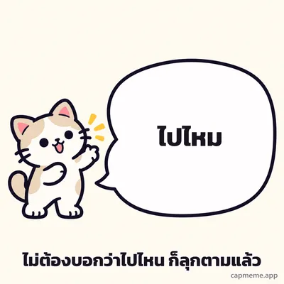 แมวยืนยกอุ้งเท้าข้างบอลลูนคำพูดใบใหญ่ พร้อมข้อความว่า ไปไหม ไม่ต้องบอกว่าไปไหน ก็ลุกตามแล้ว