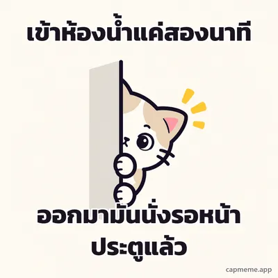 แมวโผล่มาครึ่งหน้าจากขอบกำแพง พร้อมข้อความว่า เข้าห้องน้ำแค่สองนาที ออกมามันนั่งรอหน้าประตูแล้ว