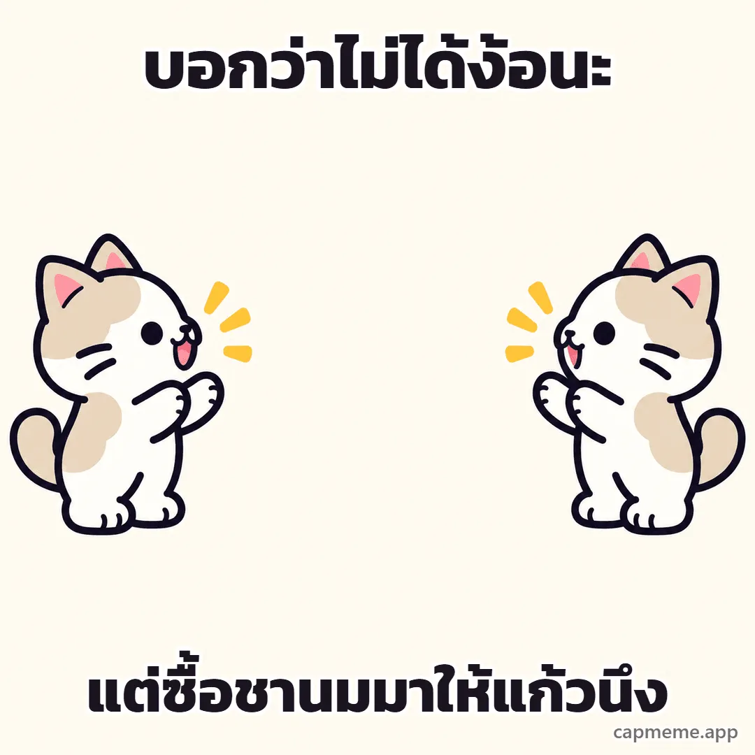 แมวสองตัวหันหน้าเข้าหากันคนละฝั่ง พร้อมข้อความว่า บอกว่าไม่ได้ง้อนะ แต่ซื้อชานมมาให้แก้วนึง