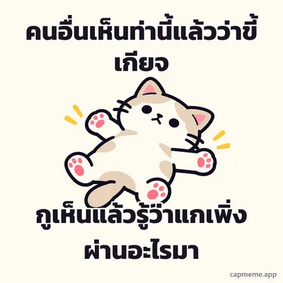 แมวนอนแผ่หงายกางสี่ขา พร้อมข้อความว่า คนอื่นเห็นท่านี้แล้วว่าขี้เกียจ กูเห็นแล้วรู้ว่าแกเพิ่งผ่านอะไรมา