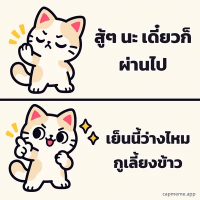 มีมสองช่อง ช่องบนแมวหลับตายกอุ้งเท้าปฏิเสธ ช่องล่างแมวยิ้มชี้นิ้วอย่างพอใจ พร้อมข้อความว่า สู้ๆ นะ เดี๋ยวก็ผ่านไป เย็นนี้ว่างไหม กูเลี้ยงข้าว