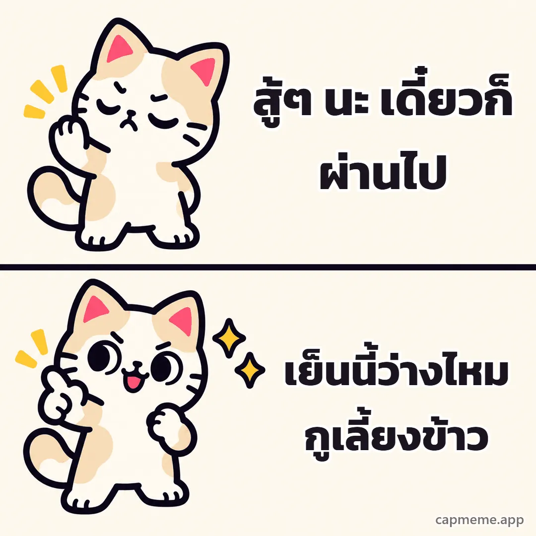 มีมสองช่อง ช่องบนแมวหลับตายกอุ้งเท้าปฏิเสธ ช่องล่างแมวยิ้มชี้นิ้วอย่างพอใจ พร้อมข้อความว่า สู้ๆ นะ เดี๋ยวก็ผ่านไป เย็นนี้ว่างไหม กูเลี้ยงข้าว