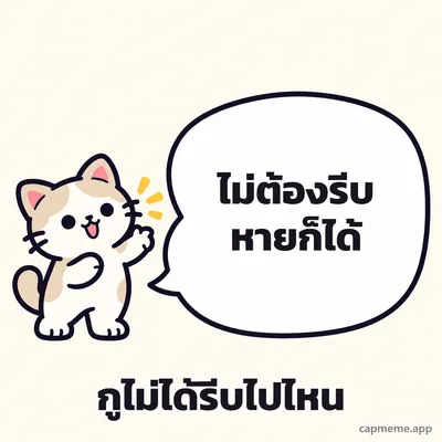 แมวยืนยกอุ้งเท้าข้างบอลลูนคำพูดใบใหญ่ พร้อมข้อความว่า ไม่ต้องรีบหายก็ได้ กูไม่ได้รีบไปไหน