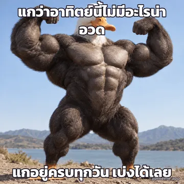 ภาพสัตว์ลูกผสมที่ไม่มีอยู่จริง หัวเป็นเป็ด ตัวเป็นกล้ามใหญ่มาก ยืนเบ่งกล้ามสองข้าง พร้อมข้อความว่า แกว่าอาทิตย์นี้ไม่มีอะไรน่าอวด แกอยู่ครบทุกวัน เบ่งได้เลย