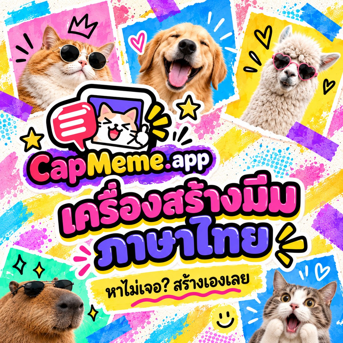 เครื่องสร้างมีมภาษาไทย CapMeme.app รวมรูปมีมสัตว์ แมวกับลามะใส่แว่นกันแดด หมายิ้ม คาปิบารา และแมวตกใจ